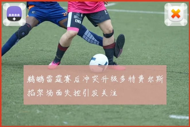 鹈鹕雷霆赛后冲突升级多特费尔斯掐架场面失控引发关注