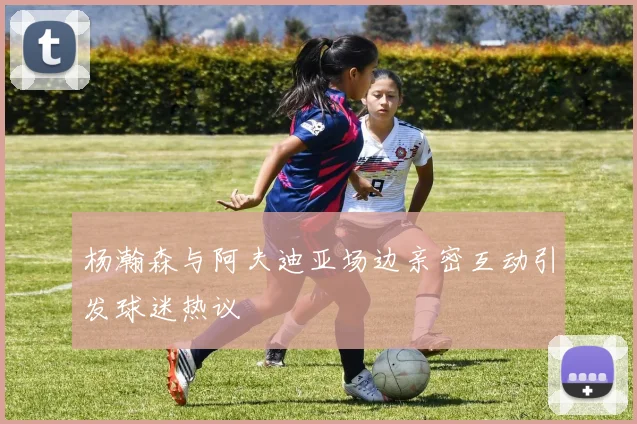 杨瀚森与阿夫迪亚场边亲密互动引发球迷热议