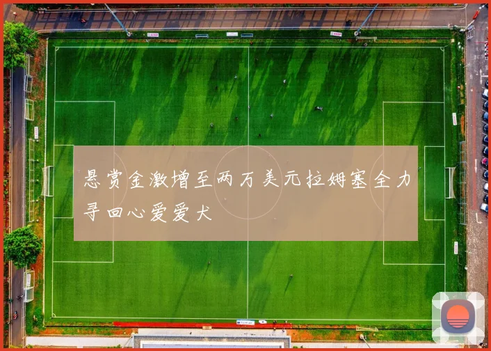 悬赏金激增至两万美元拉姆塞全力寻回心爱爱犬