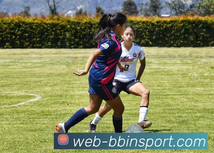 BBIN体育服务体系